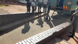 Nhengo yeBato reTripple C, VaJob Sikhala, Vachisvika paMatare eDzimhosva