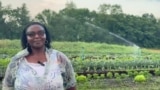 Murimi weChidzimai Ari muAmerica, Muzvare Marcey Guramatunhu, Vofadzwa neKushanyirwa neNyanzvi dzeKurima dzeChidzimai Dzakabva kuZimbabwe