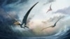 Remains of a Rare Flying Reptile Dug Up in Australia