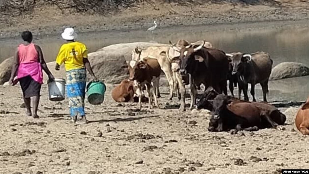 Bathi kunzima lonyaka abantu eGwanda