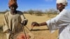La gomme arabique menacée par la guerre au Soudan