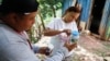 Breeding Special Mosquitoes to Fight Dengue