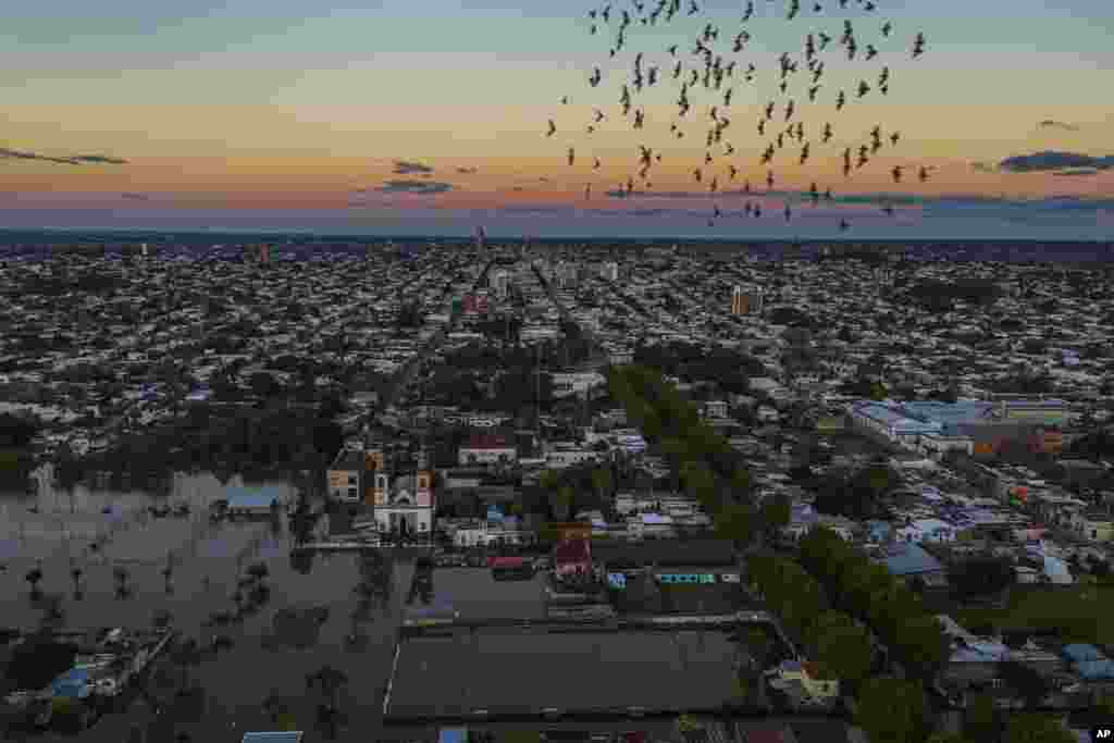 Birds fly by a flooded area in Paysandu, Uruguay, May 13, 2024.