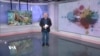 Bernameya Nû ya Heftreng 28-4-2024