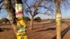 Bakhala Ngendlala Emaphandleni AweMat South Ngesikhathi Kulungiselelwa Ukhetho 