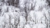China, Russia push back over Washington’s Arctic warning 
