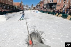 A skier is pulled by a horse during a skijoring competition in Leadville, Colo., on Saturday, March 2, 2024. (AP Photo/Thomas Peipert)