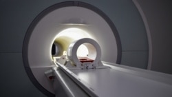 Quiz - New Way to Fight Brain Cancer Shows Promise