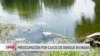 Miami es la ciudad estadounidense con más casos de dengue 