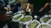 US DEA proposes significant shift in marijuana policy
