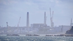 粵語新聞 晚上9-10點: 在排放福島核污水後 來自中國的電話打爆日本企業