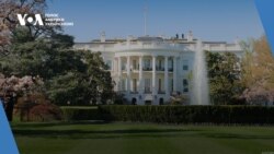 Студія Вашингтон. Військова допомога від США для України