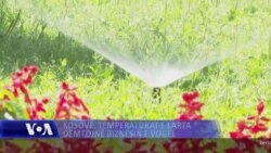 Kosovë, temperaturat e larta dëmtojnë biznesin e vogël