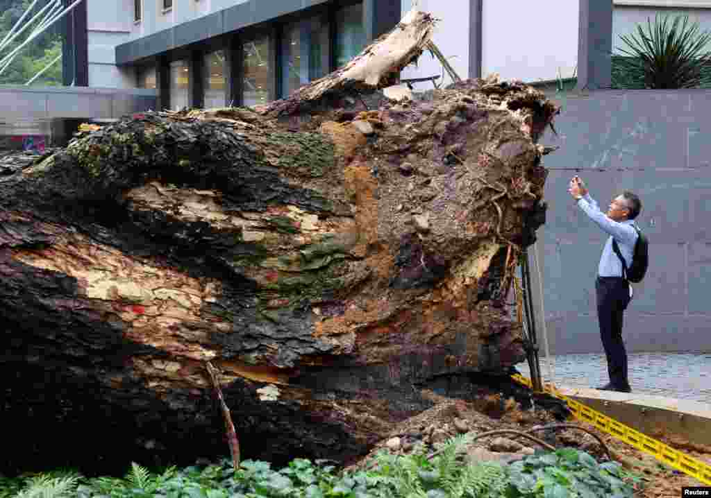 A man takes a picture of a tree fallen across Jalan Sultan Ismail, one of Kuala Lumpur's busiest roads smashing multiple cars and disrupting monorail service, in Kuala Lumpur, Malaysia.