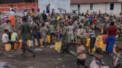 SML: Na Nord-Kivu bana ya ba réfugiés bawuta Burundi koleka nkama minei bazali kosenga kokende kelasi