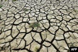 中國重慶段長江因乾旱裸露的河床。（2022年8月16日）