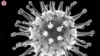 In Georgia, Clerics Use Anti-Vaxx Rhetoric, Call Pandemic a “Bluff”