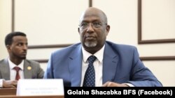 Aadan Madoobe 