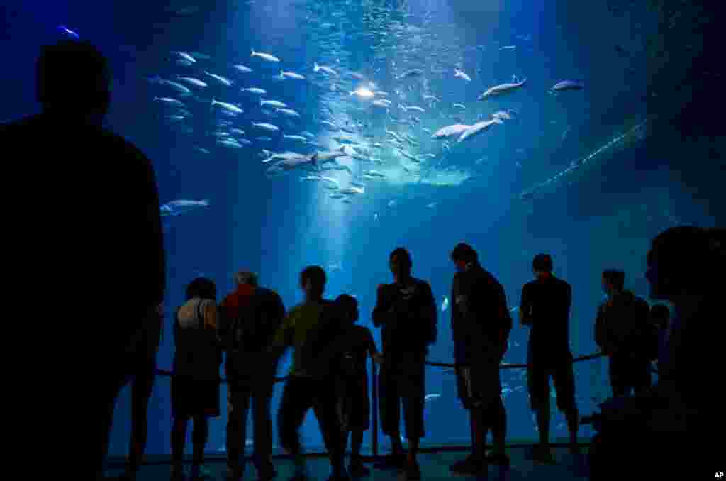Para wisatawan menikmati museum dan akuarium 'Ozeanum' di kota Stralsund, pelabuhan Laut Baltik, Jerman.