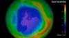 2013年南极洲臭氧层蓝色扩张代表浓度续增。（NASA's Goddard Space Flight Center)