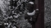 16x9 Image