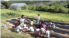 Rural South Korean Schools Welcome Seoul Students