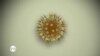 16x9 Image