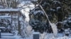Get Ready for Spring Planting in Winter