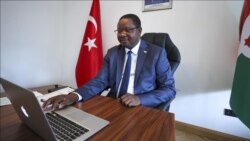 Murisanga