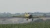 Study Ties Some Pesticides to Risk of ADHD in Children