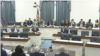 US House hearing on Covid-19 origin. (screenshot) 