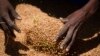 Pénuries alimentaires: initiative de l'UE pour aider les pays en difficulté