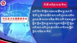བདེན་རྫུན་གོ་འབྱེད། ནད་དུག་ཁྱབ་གདལ་ཤུགས་ཆེ་འགྲོ་བཞིན་པ་རྒྱ་ནག་གི་ཝེ་པོ་དྲ་ལམ་ཐོག་གི་གླེང་གཞི་ཚ་ཤོས་ཆགས།