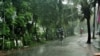 বৃষ্টি পড়ছে অঝোর ধারায়। 