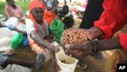 FILE: Abanye abantu abahola ukudla eZimbabwe