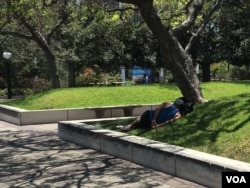 A homeless person rests in the grass in downtown Los Angeles in June 2017. The number of homeless people in Los Angeles county has risen by 23 percent, to nearly 58,000. (E. Lee/VOA)
