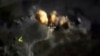 Nueva ola de ataques aéreos rusos en Siria