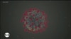 16x9 Image