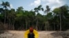 Deforestation in Brazil's Amazon Hits Record for First Half of 2022 