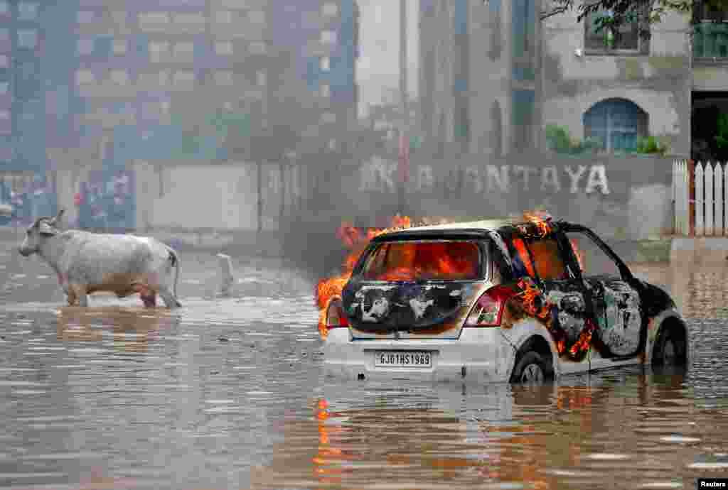 A cow moves past a burning car that, according to fire officials, caught fire by an electrical short circuit after it was stuck in a water-logged road following heavy rains in Ahmedabad, India.