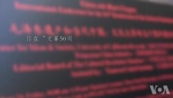 吴国光教授美国之音专访