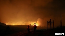 California, en alerta roja en California por incendios forestales. Foto Reuters/Stephem Lam. Incendio Kincade, cerca de Geyserville, California, 24 de octubre de 2019.