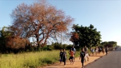 Emissão Vespertina 22 Abril 2022: Mais de 2,4 milhões de crianças envolvidas em trabalho infantil em Moçambique