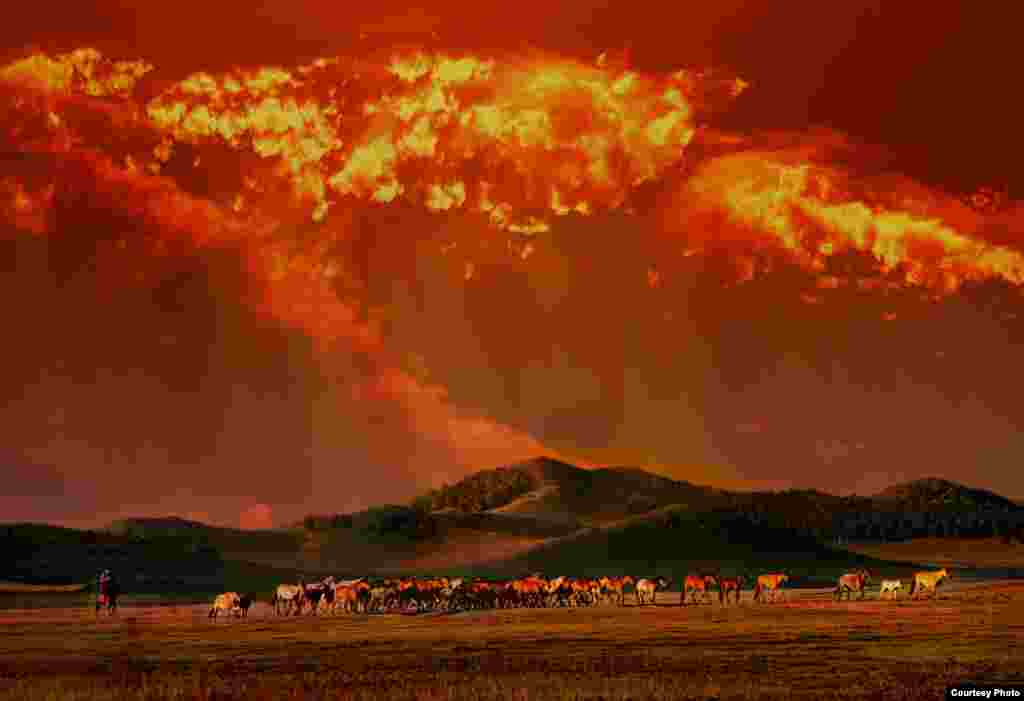 Juga di peringkat keenam adalah foto Zuopeng Zhang dari Kanada berjudul "Mongolian Pasture" berlokasi di padang rumput Mongolia.