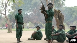 Forças da Renamo treinando na Gorongosa