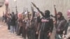 The US says it wants to help the Iraqi government fight militants who recently overran Fallujah and other areas of Iraq's Anbar province. 