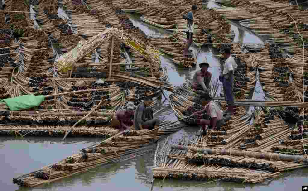 Pekerja mendorong sebuah rakit bambu besar, sementara yang lain mencoba membongkar bagian-bagian rakit bambu itu di Sittwe, negara bagian Rakhine, Burma.