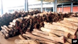 Madeira moçambicana para o mercado da República Popular da China