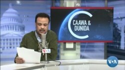 Caawa iyo Dunida