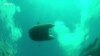 Sick Sponges Threaten Pristine Waters